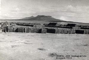 Palica - D- Crampel 006